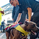 Tasha Fuiaba (L), Zeus the dog (Right)/Image via AP.
